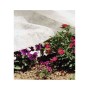 Frost Fabric 35gsm 2m x 100m roll