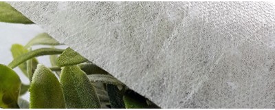 frost cloth